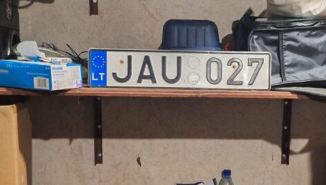 Sulaikyti įkalčiai