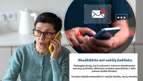 Sukčiai internete, afera