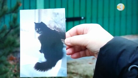 Katė Musė su &scaron;iauliečių &scaron;eima gyveno de&scaron;imt metų.