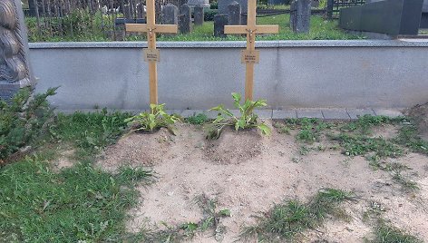 Brolių Viktoro ir Vaclovo Biržiškų kapas
