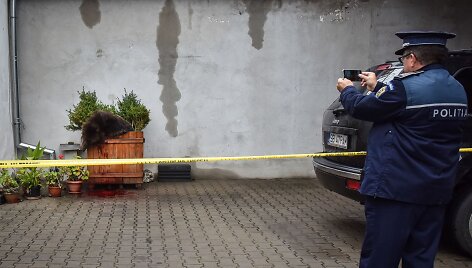 Rumunijoje nu&scaron;auta rudoji me&scaron;ka