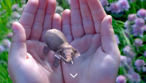 &bdquo;Magic Leap&ldquo; vizualizacija