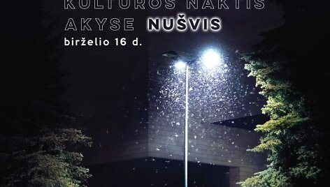 &bdquo;Kultūros naktis 2017&ldquo;