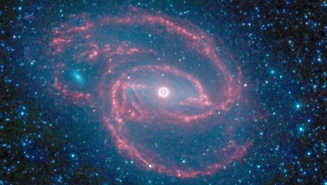 Žvaigždžių ratas susiformavęs aplink juodąją skylę