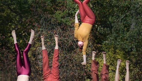 &bdquo;Fauna Circus&ldquo;