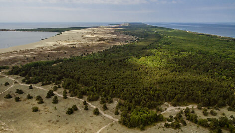Kur&scaron;ių nerija