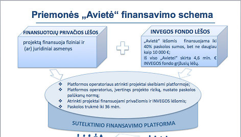 Priemonė "Avietė". Finansavimo schema