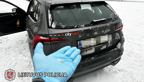 Bylos įkalčiai