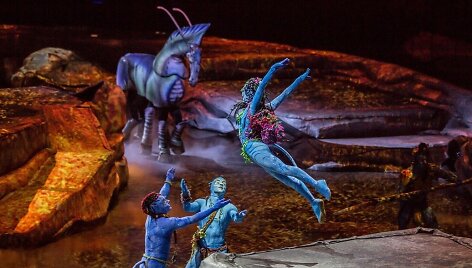 &bdquo;Cirque du Soleil&ldquo; &scaron;ou &bdquo;Toruk &ndash; The First Flight&ldquo;