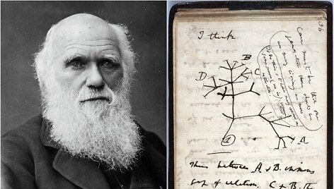Ch.Darwinas ir jo pavogti užra&scaron;ai