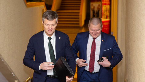 Remigijus Baltrėnas