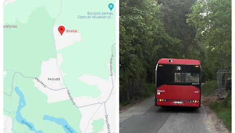 Bireliai ir jų vienintelis autobusas
