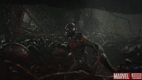 Kadras i&scaron; filmo &bdquo;	Skruzdėliukas&ldquo;