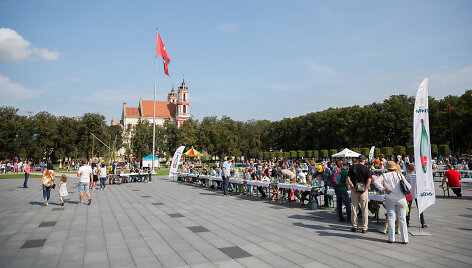 Pramogų kupina Luki&scaron;kių aik&scaron;tė