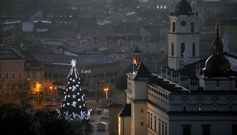 Kalėdų eglė Vilniaus Katedros aikštėje