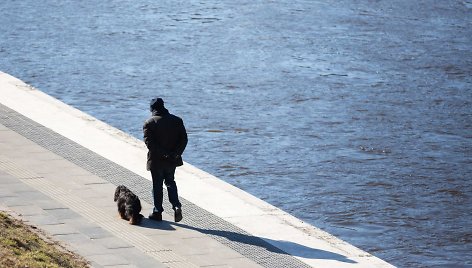 Saulėtas, bet vėsus pavasaris Vilniuje