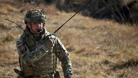 Ukrainos karys