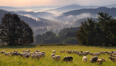 &Scaron;umava, Čekija