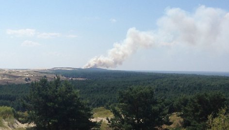 Karaliaučiuje netoli Nidos dega miškas