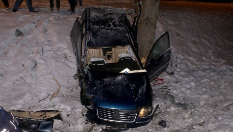 Lietuvio vairuojamas automobilis Lenkijoje nuskriejo nuo kelio ir trenkėsi į medį