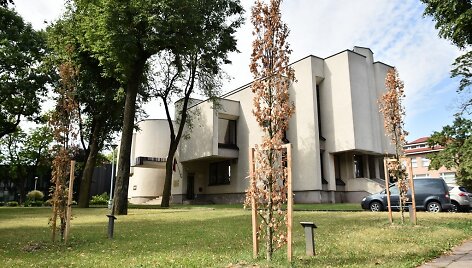 Rekordinė kaitra nepasigailėjo Panevėžio centre augančių ąžuoliukų