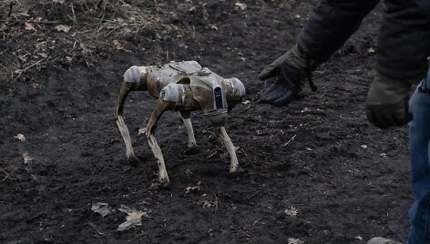 Robotas &scaron;uo