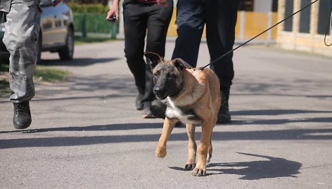 Policijos šunų mokymai