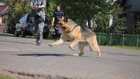 Policijos šunų mokymai