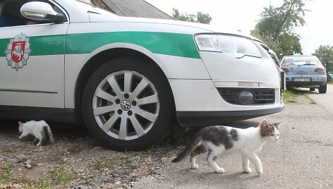 Avarijos vietoje