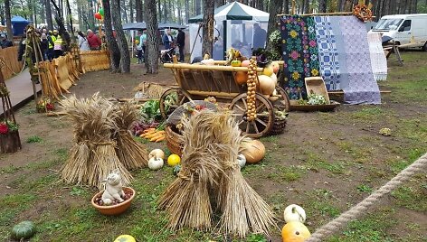 Grybų &scaron;ventės akimirkos