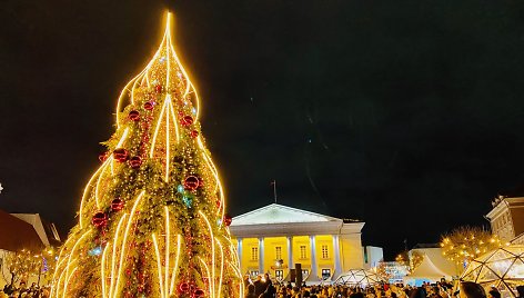 Sužibo eglė Vilniaus Rotušės aikštėje