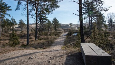 Naglių gamtinio rezervato pažintinis takas