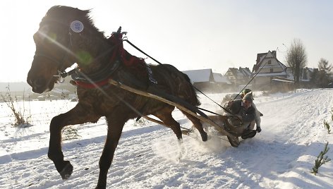 Tradicinės žirgų traukiamų vežimų lenktynės Zakopanėje