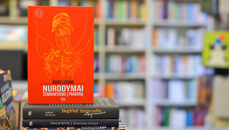 Doris Lessing romanas &bdquo;Nurodymai žengiantiems į pragarą&ldquo; 