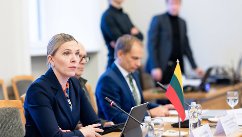 Agnė Bilotaitė susitiko su septynių šalių vidaus reikalų ministrais