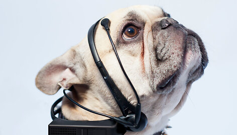 &bdquo;No More Foof&ldquo; prototipas