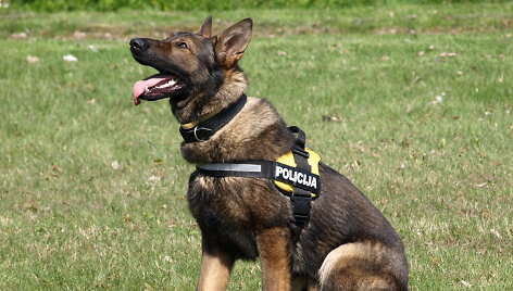 Plungės policijos &scaron;uo Jorė