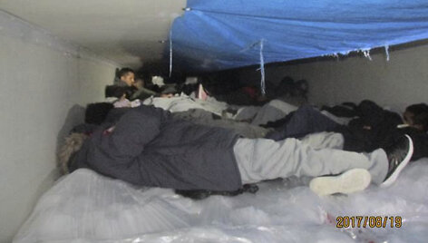 Nelegalūs migrantai ant brokolių krovinio