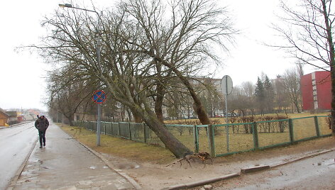 Vėtros Tel&scaron;iuose padariniai