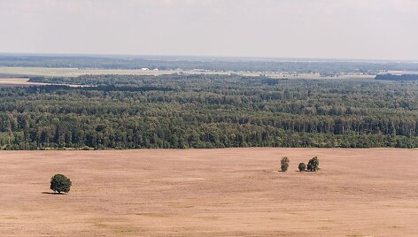 Mindaugo Dulinsko nuotrauka &bdquo;Tėvas palieka &scaron;eimą&ldquo; (2014 m., rugpjūtis).