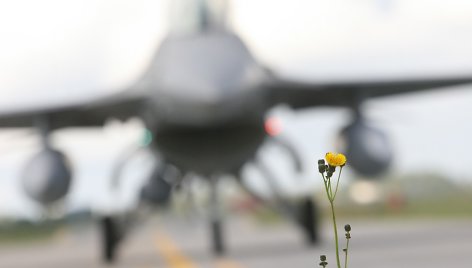 NATO bazėje nusileido šeši Portugalijos naikintuvai F-16