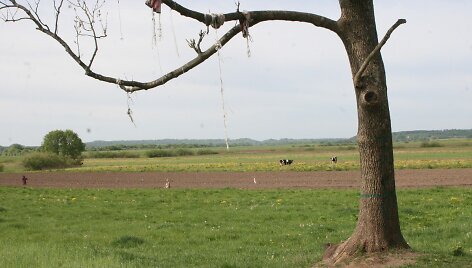 Pieno mafija Lietuvoje &ndash; teisėta, bet nesąžininga