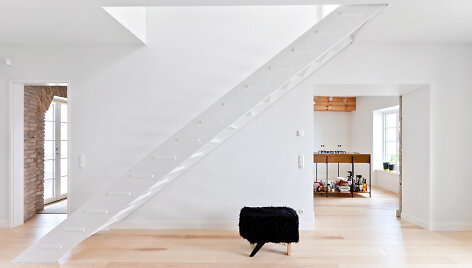 Architekto Dariaus Ju&scaron;kevičiaus modelis &bdquo;Pooch&ldquo; 