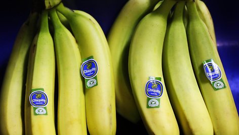 Islandijoje Žemės ūkio universitete užauginti bananai