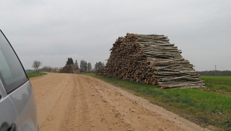 Sandėliuojama mediena