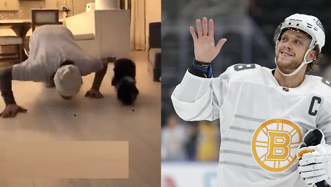 Davidas Pastrň&aacute;kas