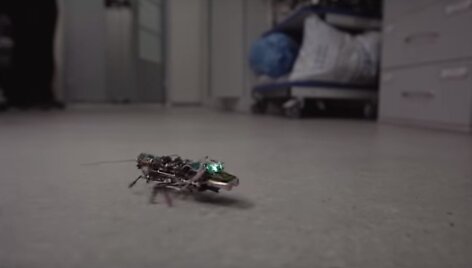 Robotas &ndash; tarakonas