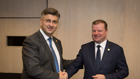 Andrejus Plenkovičius, Saulius Skvernelis