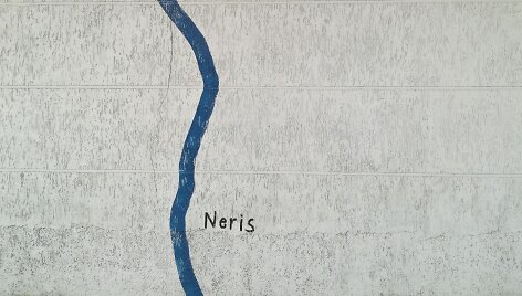 Nespecialus tyrimas: kiek Nerių teka Vilniumi