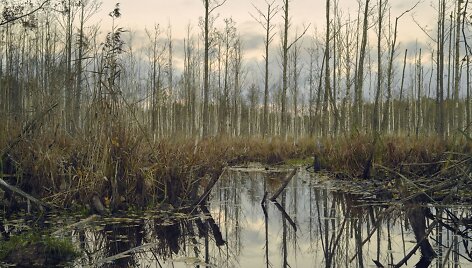 Kitą savaitę sostinės Prospekto galerijoje &ndash; fotografijų paroda apie Visaginą
